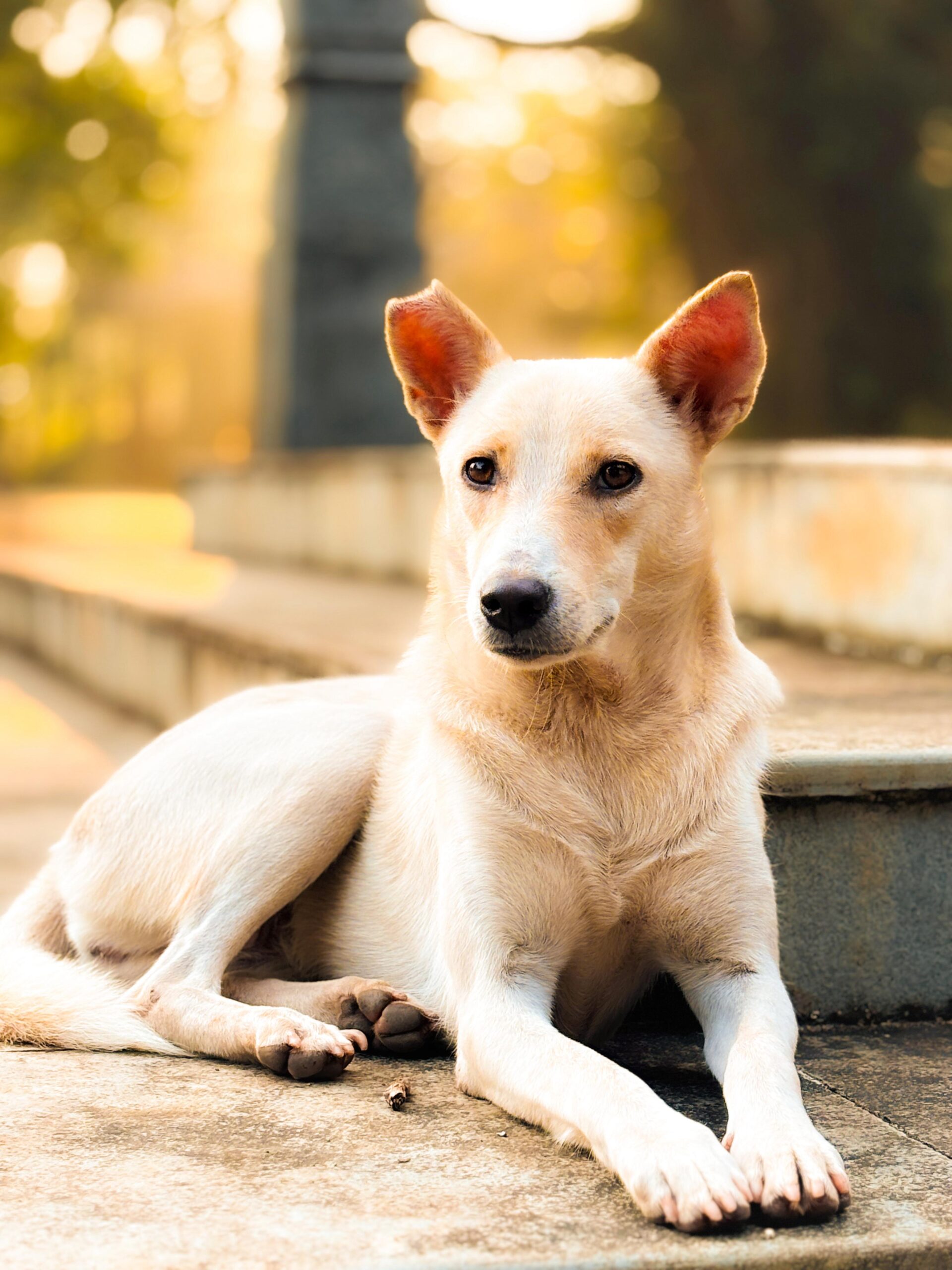 Digital marketing specialist in kannur