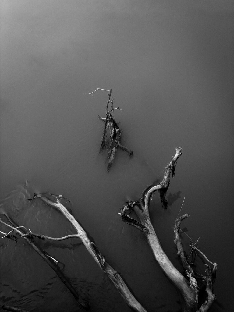 Digital marketing specialist in kannur