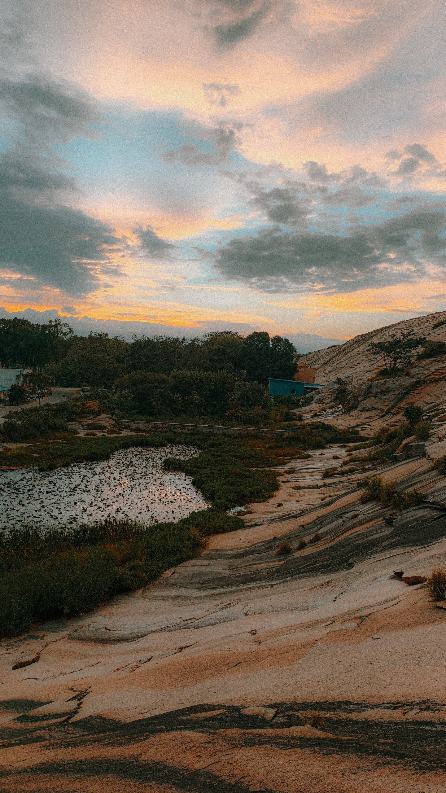 Digital marketing specialist in kannur