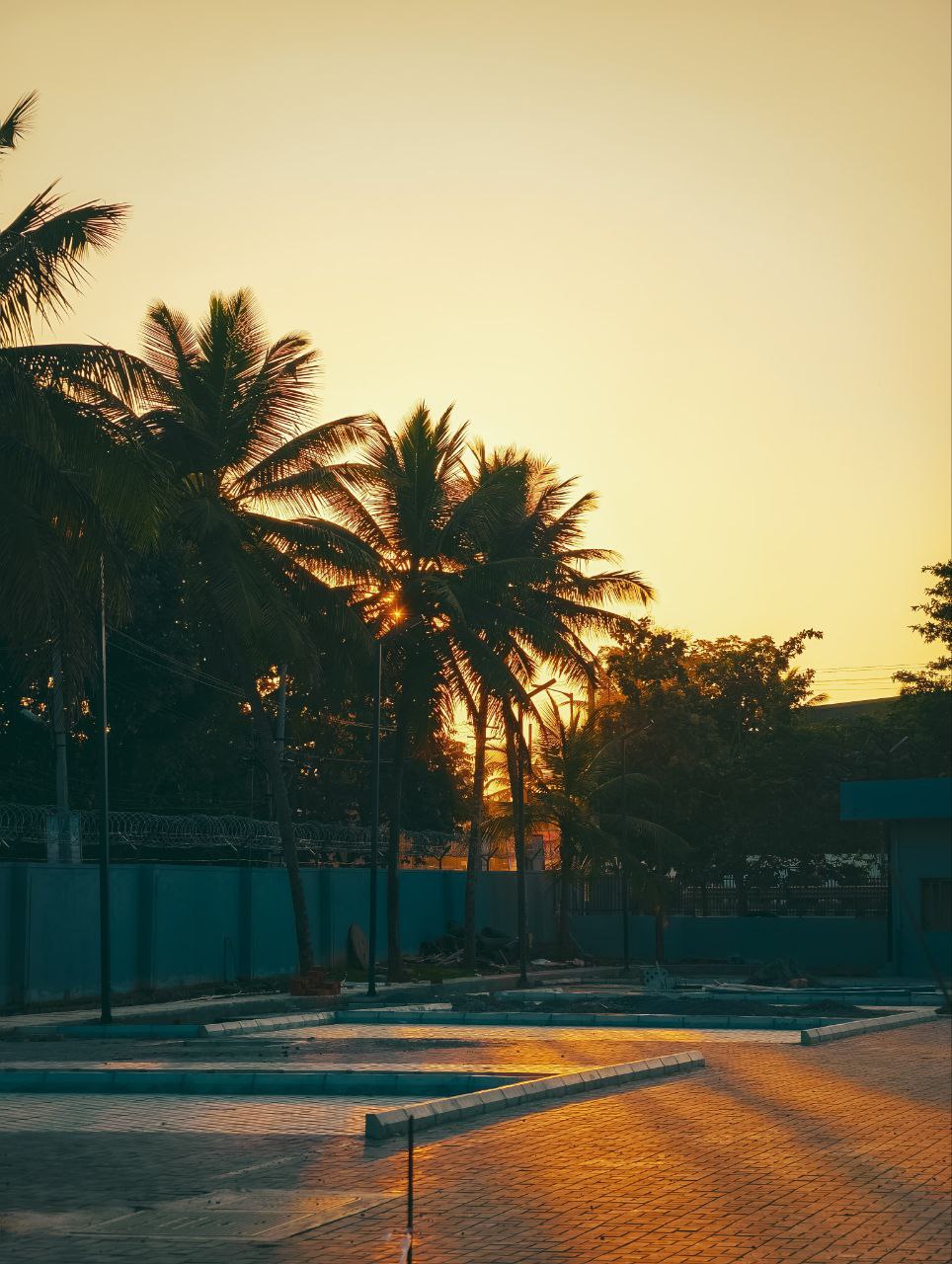 Best digital marketing freelancer in kannur